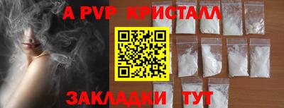 стаф Дубна
