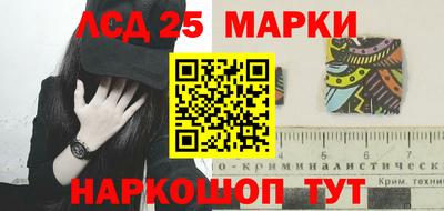 стаф Дубна