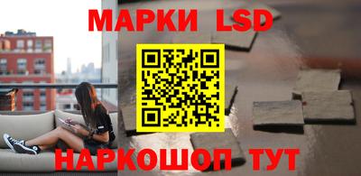 стаф Дубна