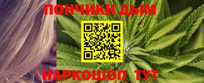 стаф Дубна