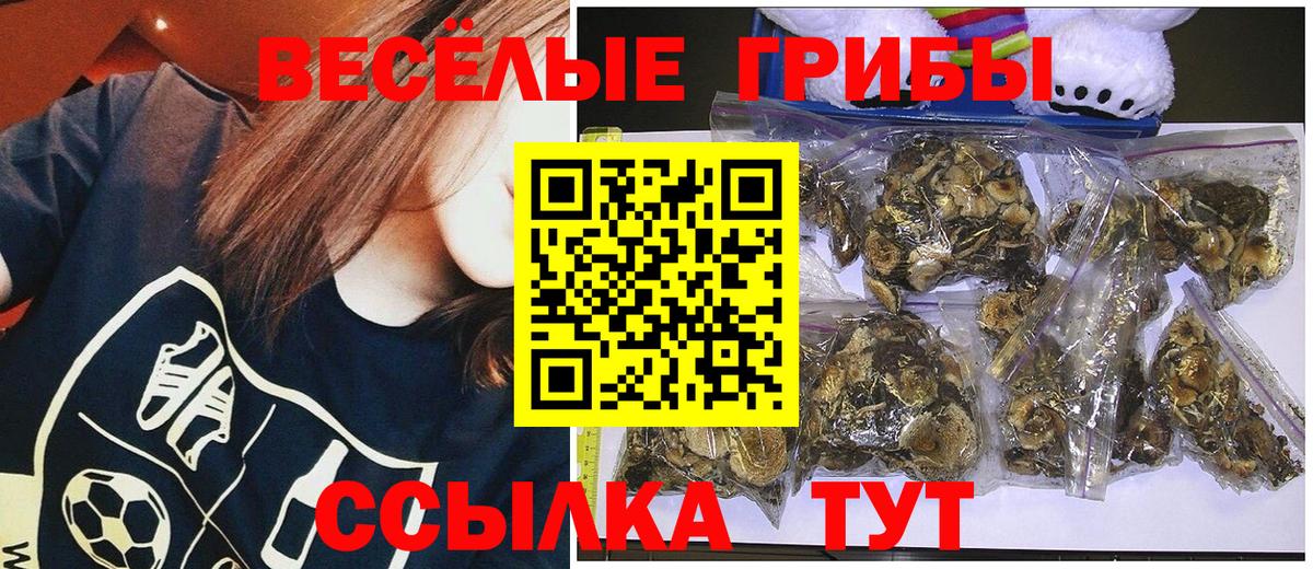 Псилоцибиновые грибы Magic Shrooms  Вход с VPN  Ишимбай 